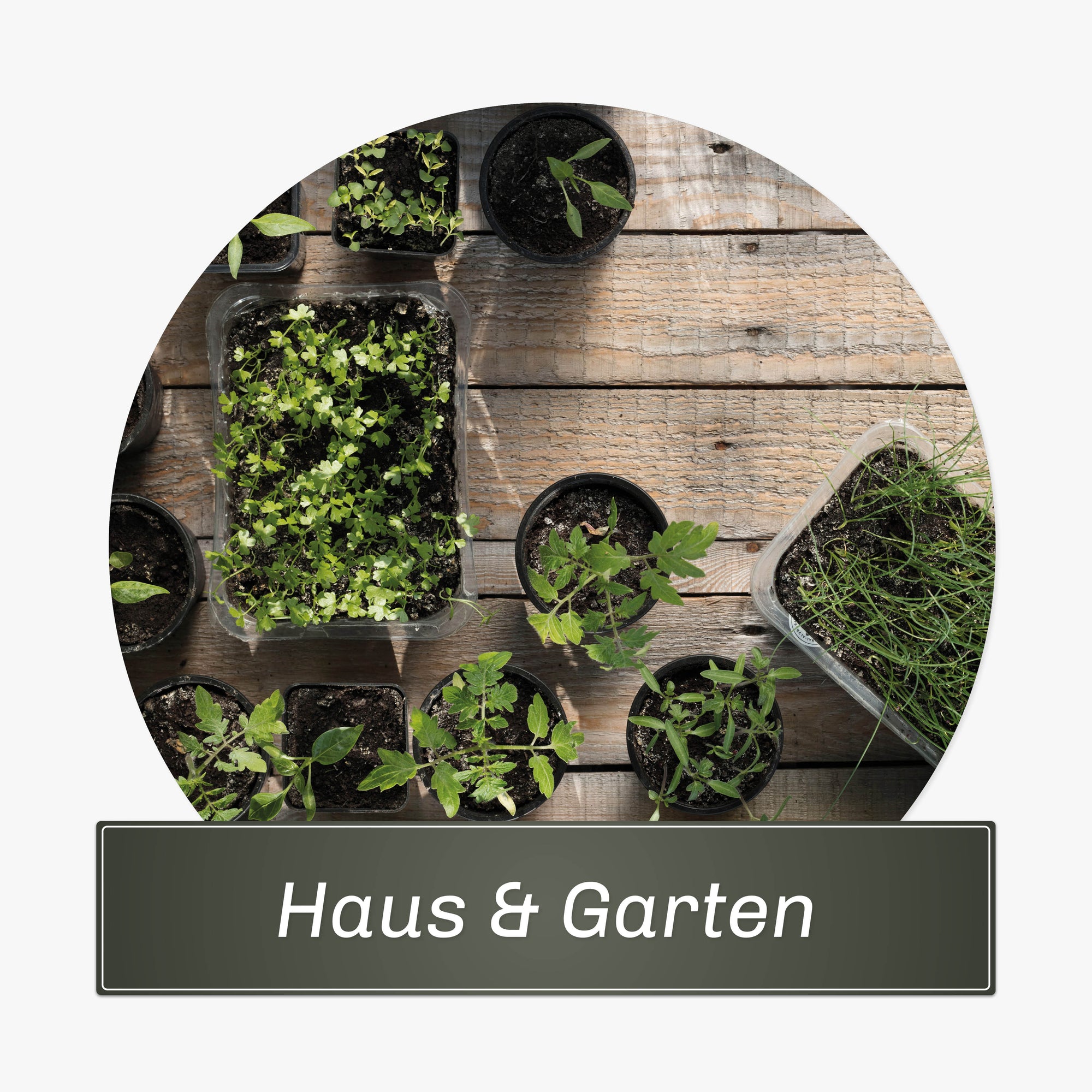 Haus und Garten
