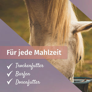Mariendistelsamen 2,5 kg
