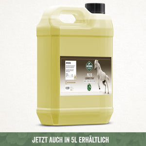 Pilz Ex Lebermoos 500ml