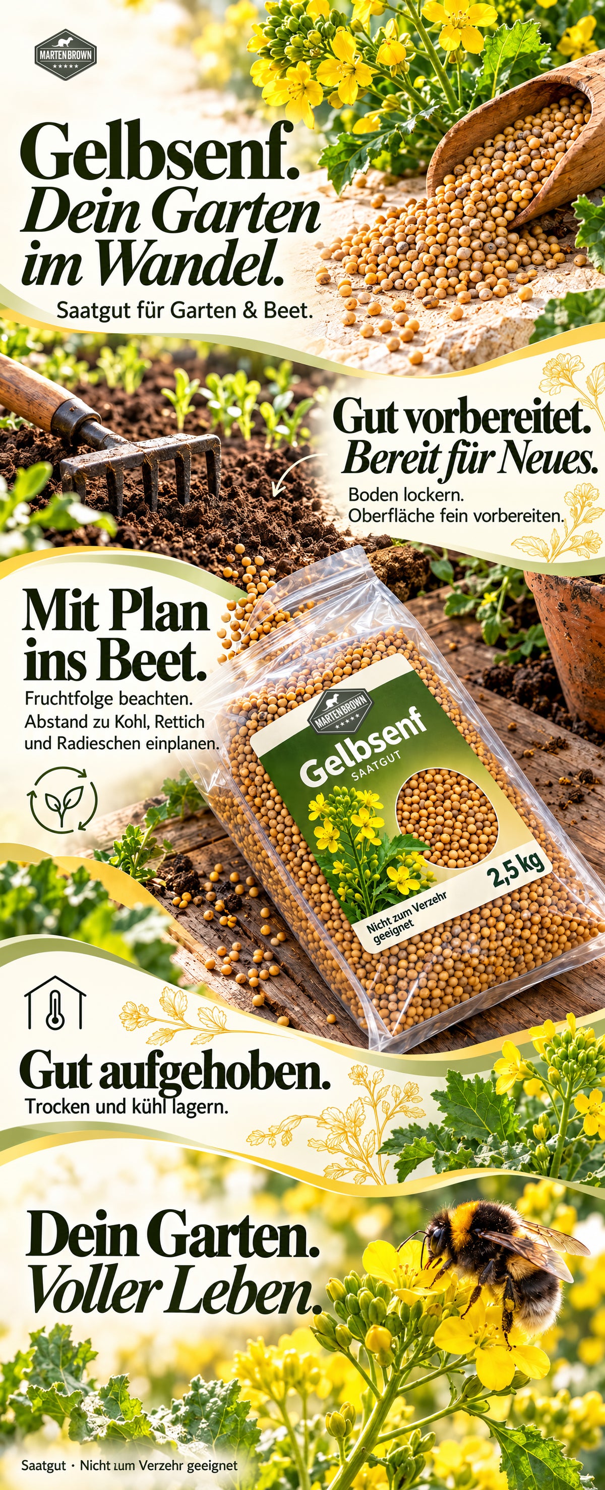 Martenbrown Gelbsenf-Saatgut: Bodenvorbereitung, Fruchtfolge und kühle, trockene Lagerung. Zusammenhängendes Gartenmotiv mit Saatgutbeutel und Hummel auf Senfblüten. Nicht zum Verzehr geeignet.