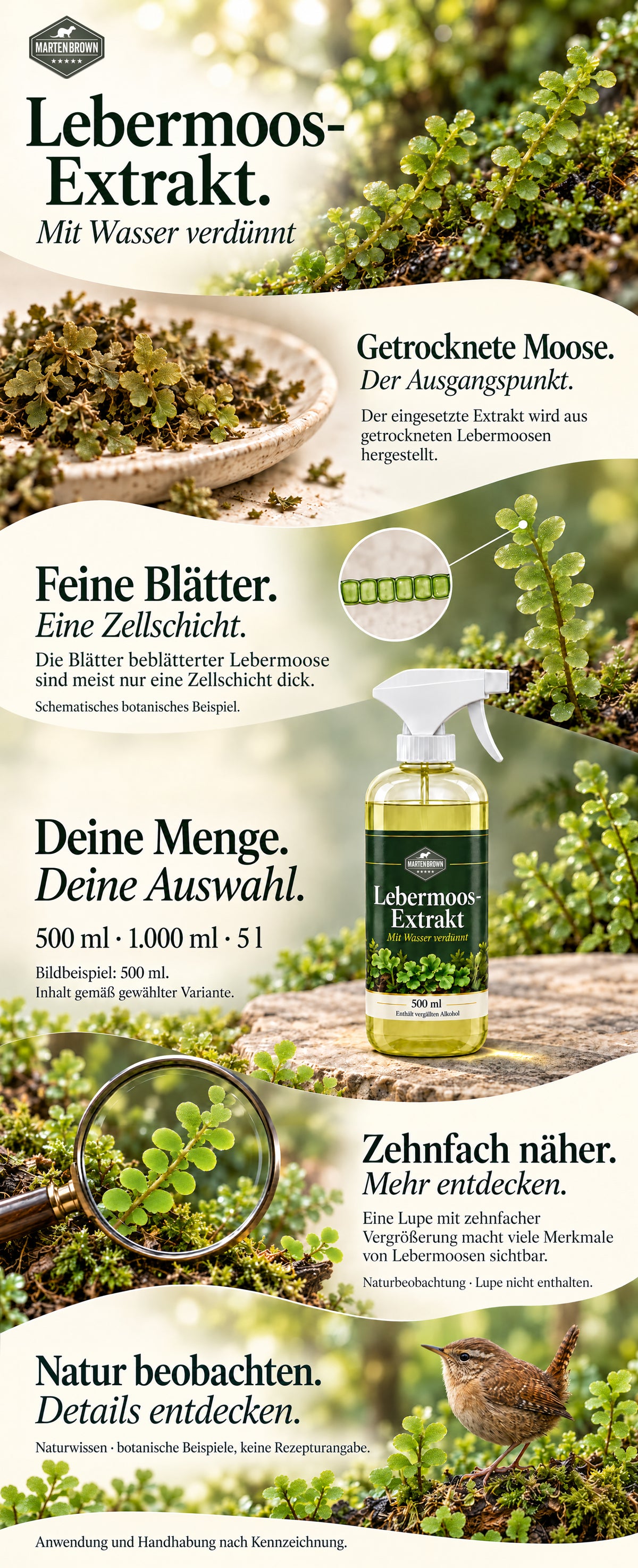 Extrait d'hépatique – dilué dans l'eau