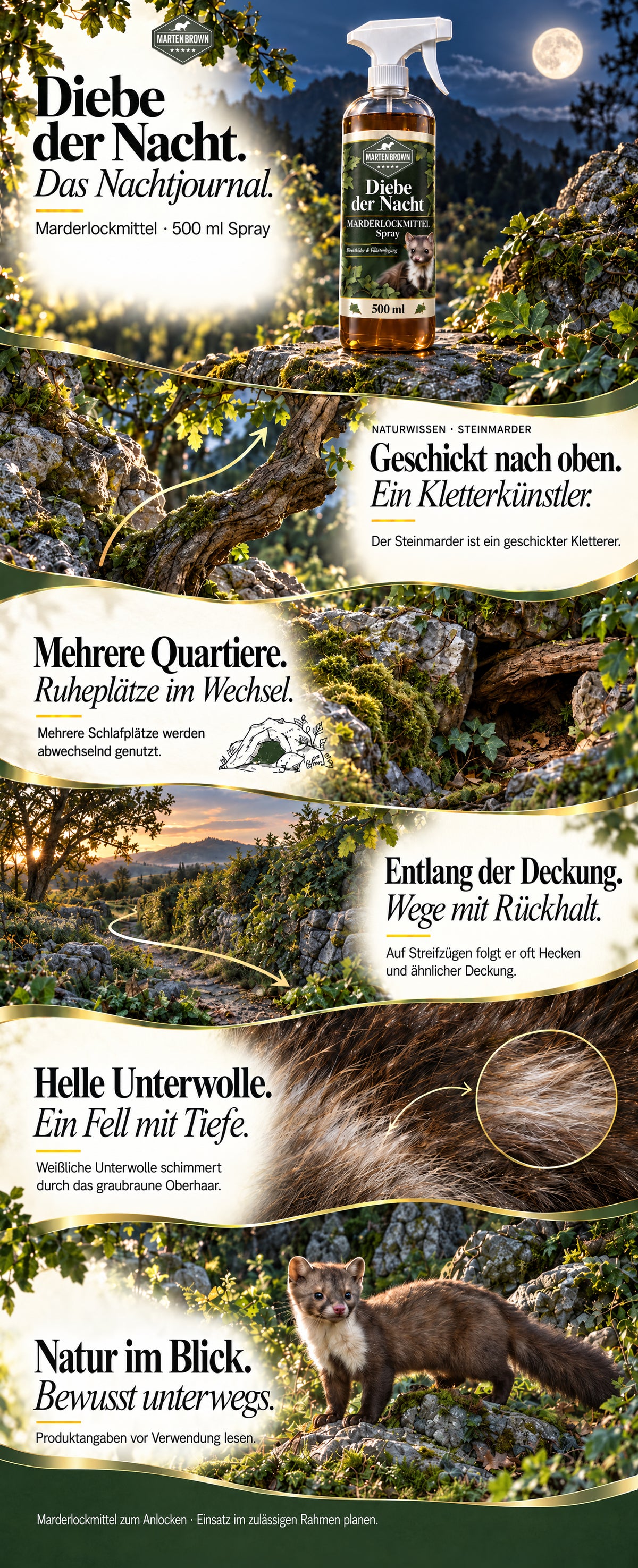 Martenbrown Marderlockmittel als 500-ml-Spray in einer Waldszene. Das Nachtjournal ergänzt Naturwissen zum Steinmarder: Klettern, wechselnde Ruheplätze, Wege entlang von Deckung und helle Unterwolle. Zum Abschluss ein Steinmarder in natürlicher Umgebung und der Hinweis, die Produktangaben vor Verwendung zu lesen.